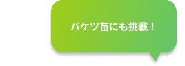 吹き出し5